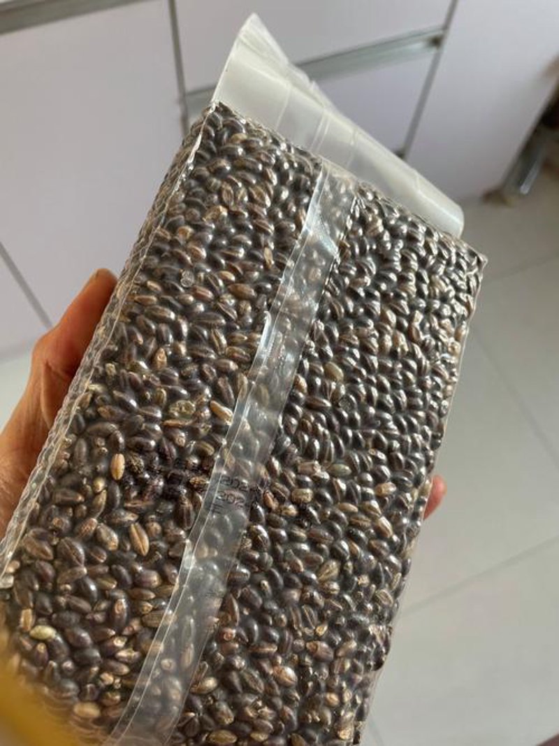 青稞米批发：打开健康的谷物新世界